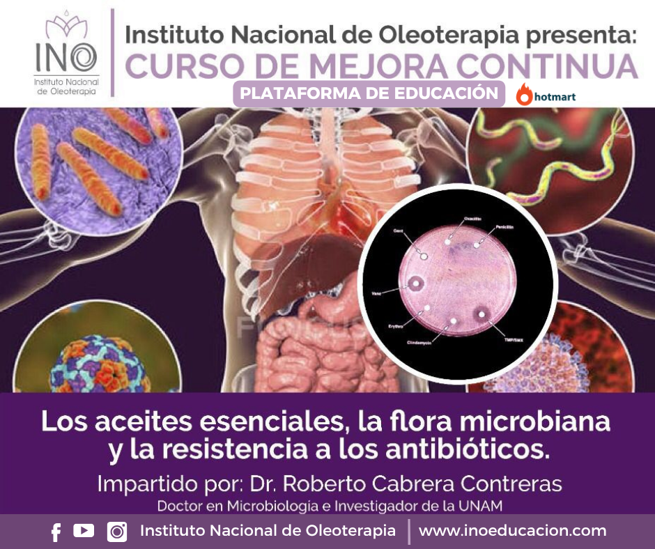 Los Aceites Esenciales, la Flora Microbiana y la Resistencia a los Antibióticos